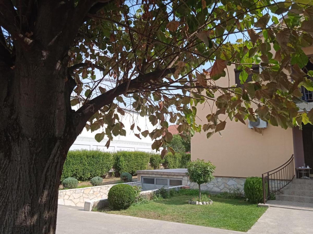 Hostel Vera - Airport Podgorica Mitrovici  外观 照片